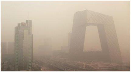 1478051368781041779.jpg NNBH-fxxfyex5713345.jpg