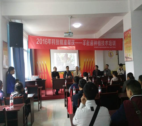 1478214928406010574.jpg 2016113145926620.jpg