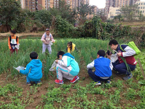 1479367321421081326.jpg 图片1.jpg