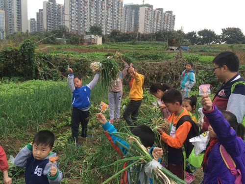 1479367383640054954.jpg 56456.jpg