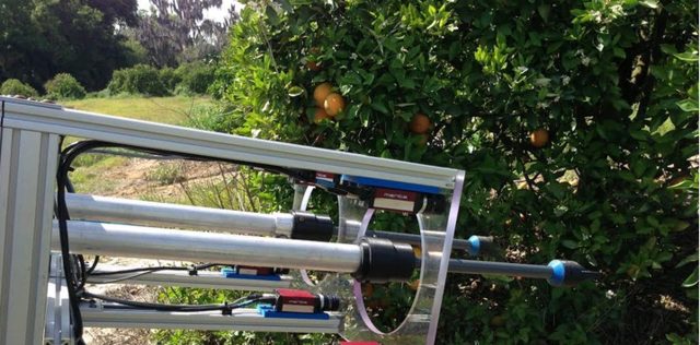 1480642233468019101.png 140631701.png