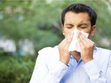 1481679343421074396.jpeg 3c5e360f861d461b8124efd19403ab2620161213125427.jpeg