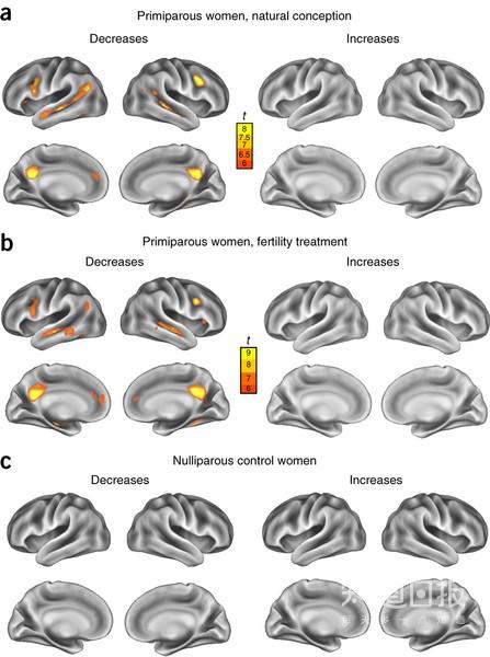 1482715461750092205.jpg 6c224f4a20a44623f090a9149122720e0cf3d76a.jpg