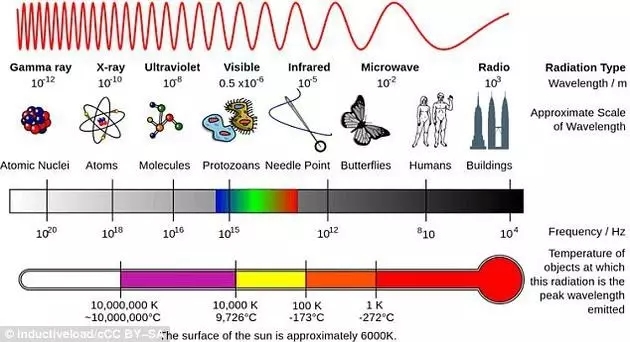 1483404944593096896.jpg 640.webp (2).jpg