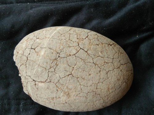 1483493599515060143.jpg 7NL0-fxzencv4031601.jpg