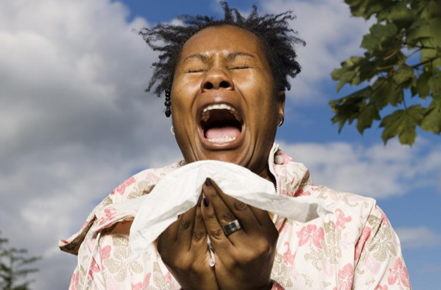 1483493933500040507.png 123131231.png