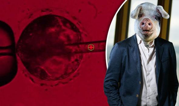 1483923495906072052.jpg 135514443.jpg