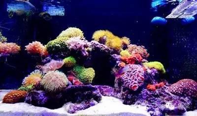 1484531826031038797.jpg FlLN-fxzkssy2149915.jpg