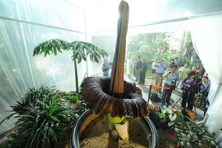 1486691125390027241.jpg a08b87d6277f9e2fa59a44aa1630e924b999f3e1.jpg