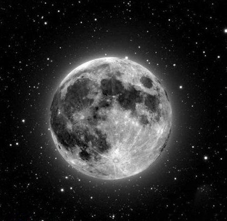 1486691216187027083.jpg wGgh-fyamvns4468223.jpg