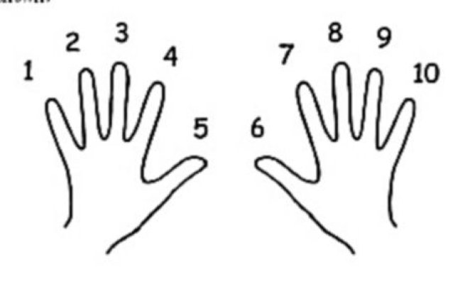 1487207443281089947.jpg 201034154052662.jpg