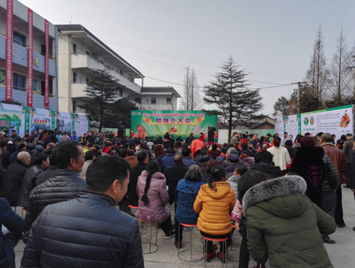 1488418855921080146.jpg C:UsersAdministratorDesktop73115828608.jpg