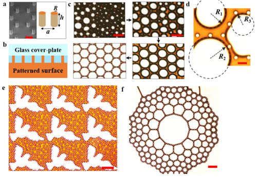 1489022277734001011.jpg 13193722947536294870.jpg