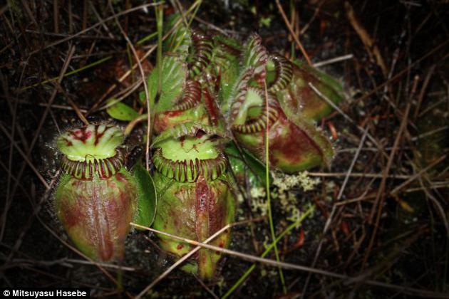 1489039891546022879.jpg 9jU--fyarrcf5341452.jpg