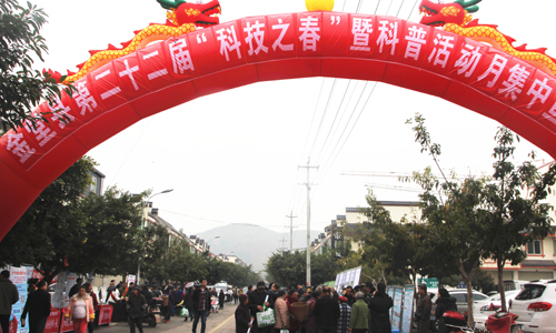 1489454635562044263.jpg 2017313151433551.jpg