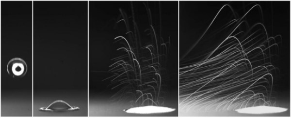 1490755024390048781.jpg 1490660620738.jpg