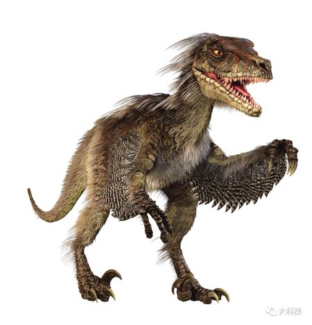 1491354729734020337.jpg 960a304e251f95ca8555fc68c0177f3e6609524f.jpg