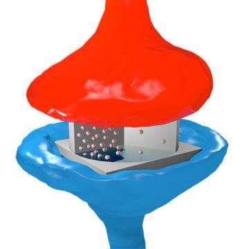 1491524867031046859.jpg ShJc-fycwymx3799919.jpg