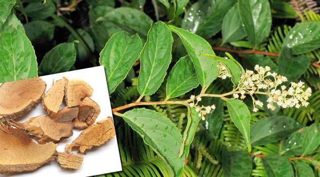 1492128090453079916.jpg G5xt-fyecezv3074134.jpg