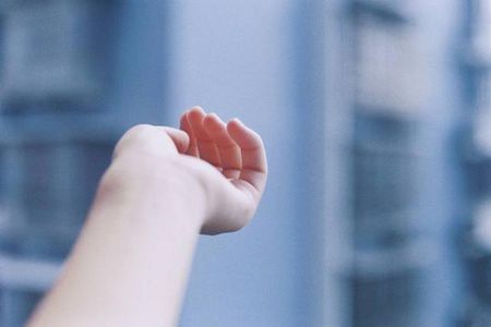 1495064841109003324.jpg 838ba61ea8d3fd1f66fe15313a4e251f94ca5fc1.jpg