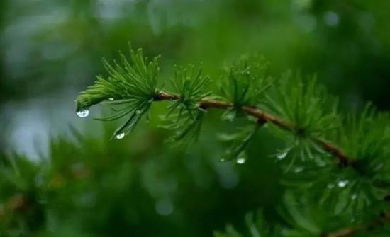 1495756696906089747.jpg OXB2-fyfkzhs9326990.jpg