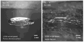 1495756721906087720.gif 8Bv--fyfkzhs9327004.gif