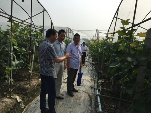 1498784465906077084.png 2017629104339444.png