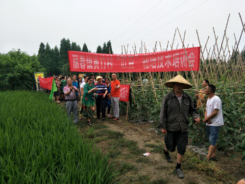 1499386215406063886.jpg 20177616136368.jpg