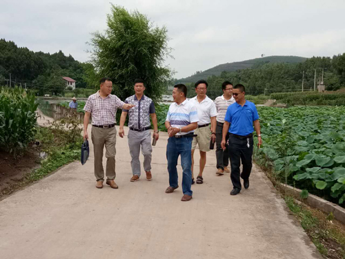 1500599663484052024.jpg 2017720142247135.jpg