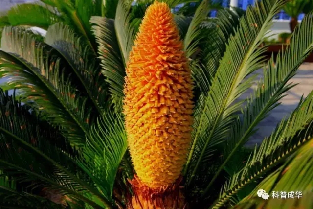 1500946909703023860.jpg 640.webp.jpg