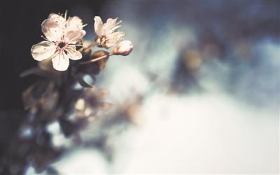 1500947141484062213.jpg 2hi8-fyiiahy8232457.jpg