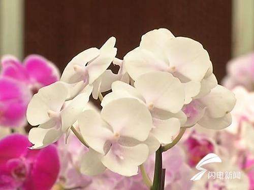 1500947207484035525.jpg fehI-fyiiahy6040091.jpg