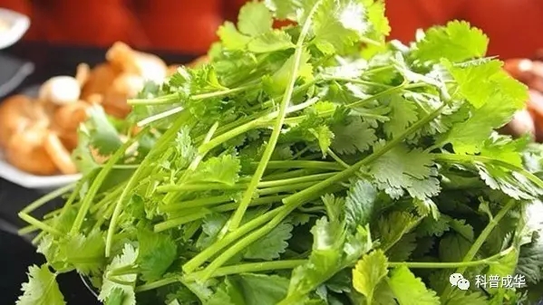 1501204870812051767.jpg 640.webp.jpg