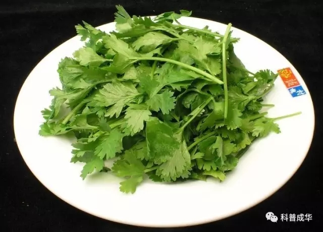 1501204880609464656.jpg 640.webp (1).jpg