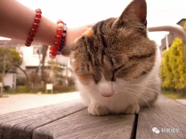 1501636531859030671.jpg 640.webp.jpg