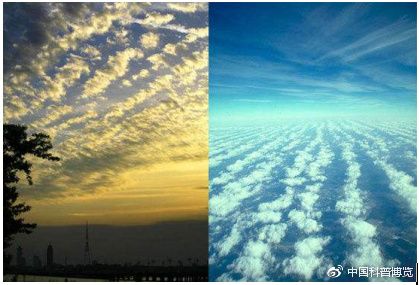 1502067400187080719.jpg 71cf3bc79f3df8dc184c556bc711728b461028d3.jpg