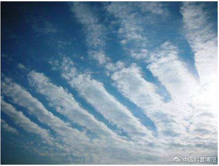 1502067409031069497.jpg 279759ee3d6d55fb8ed9acdc67224f4a20a4dd29.jpg