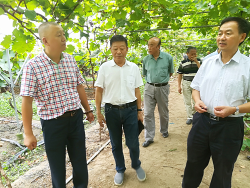 1502328291015093079.jpg 201789135338462.jpg