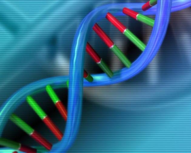 1505697070984074007.jpg Gkpd-fykymwk2727232.jpg