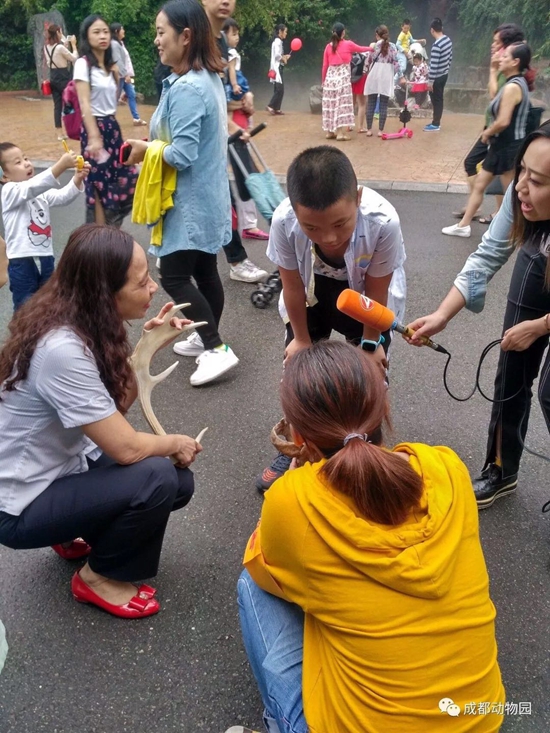 1505790881421029503.jpg 微信图片_20170919111331.jpg