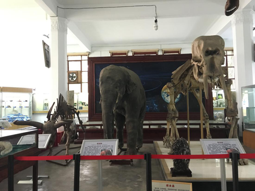 1505983614750084072.png 图片2.png