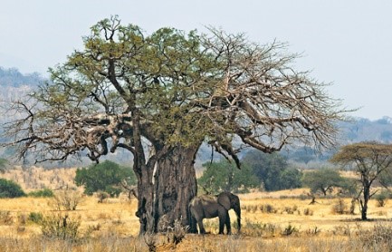 1506043868234040430.jpg 136599763_15050914506891n.jpg