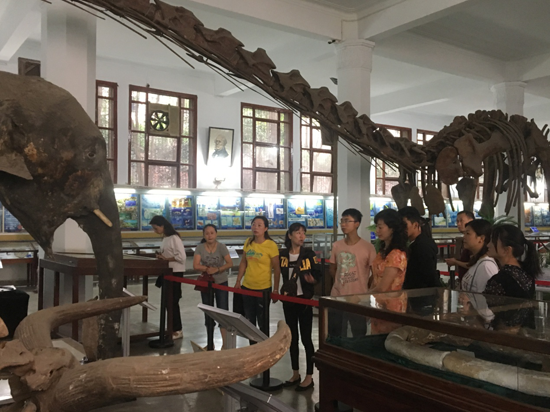 1506316037875021665.png 2.png