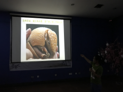 1506503039968090415.png 图片4.png