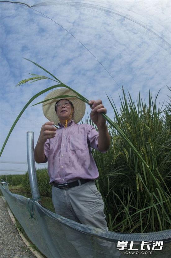 1507771425031080947.jpg bRb1-fymrqmq3981686.jpg