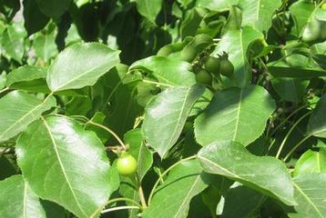 1510273952421098420.jpg t01f63a7849f8952811.jpg