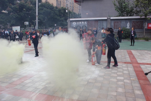 1510567746890088341.jpg 图片3.jpg