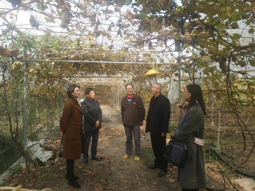 1510879950968038722.jpg 2017111616657746.jpg