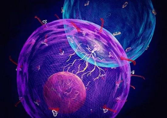 1510880325750025466.jpg vGYX-fynwnws0256408.jpg