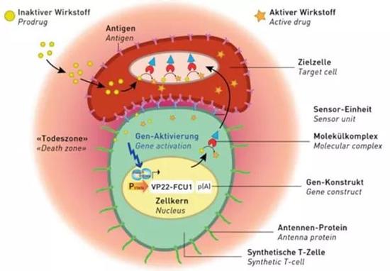 1510880342859030737.jpg hlxv-fynwnws0256412.jpg